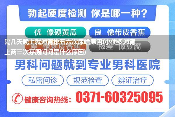 隔几天晚上就通宵排五六次尿啥原因(小便多通宵上两三次茅厕问问是什么原因)