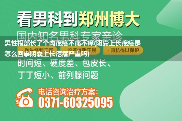 男性根部长了个肉疙瘩不痛不痒(阴囊上长疙瘩是怎么回事阴囊上长疙瘩严重吗)